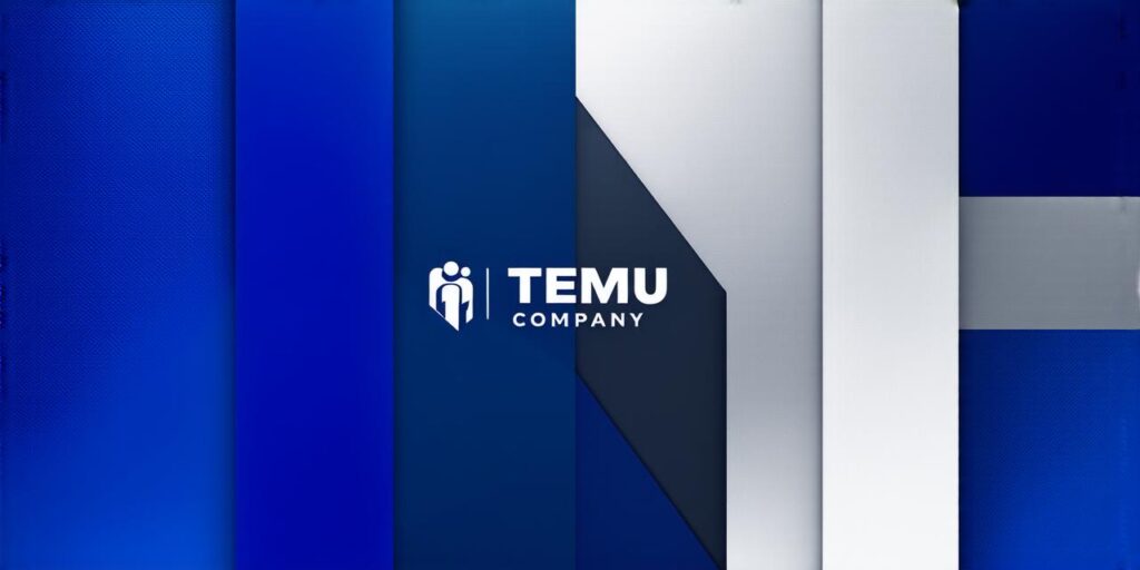 Which company is the owner of Temu