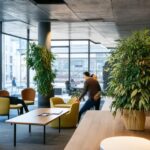 What is the company WeWork