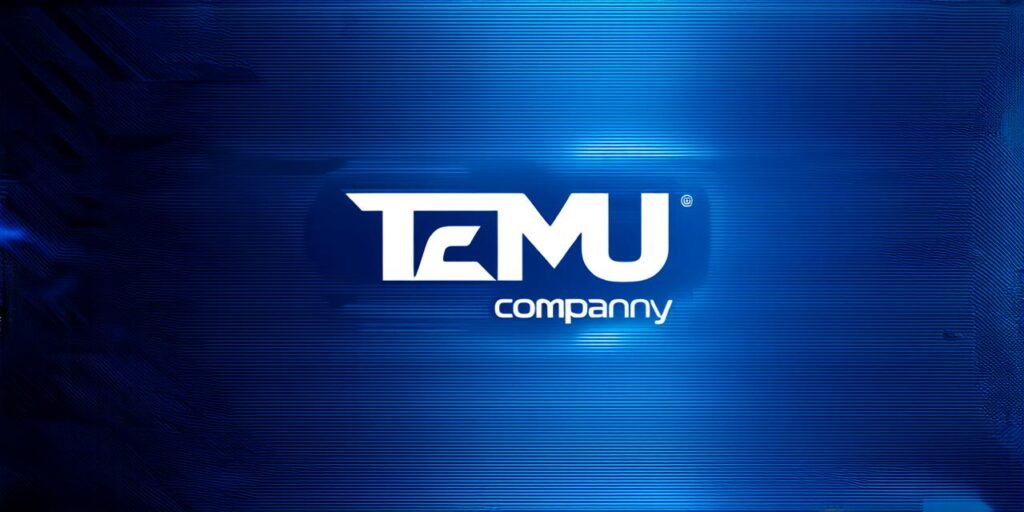 Is Temu considered a reputable company